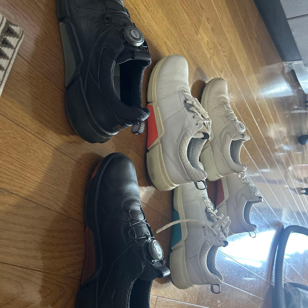 【よっちゃん】エコー　レディース用　ゴルフシューズ