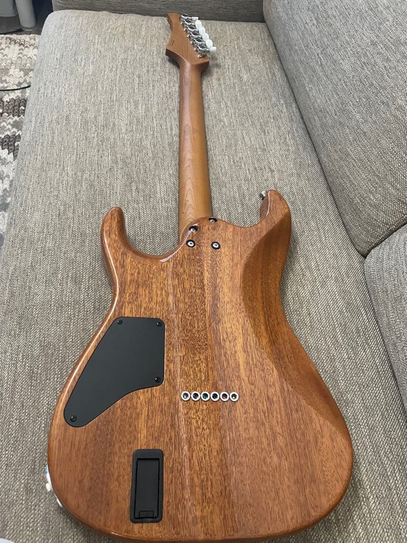 ギター T's guitars DST-22