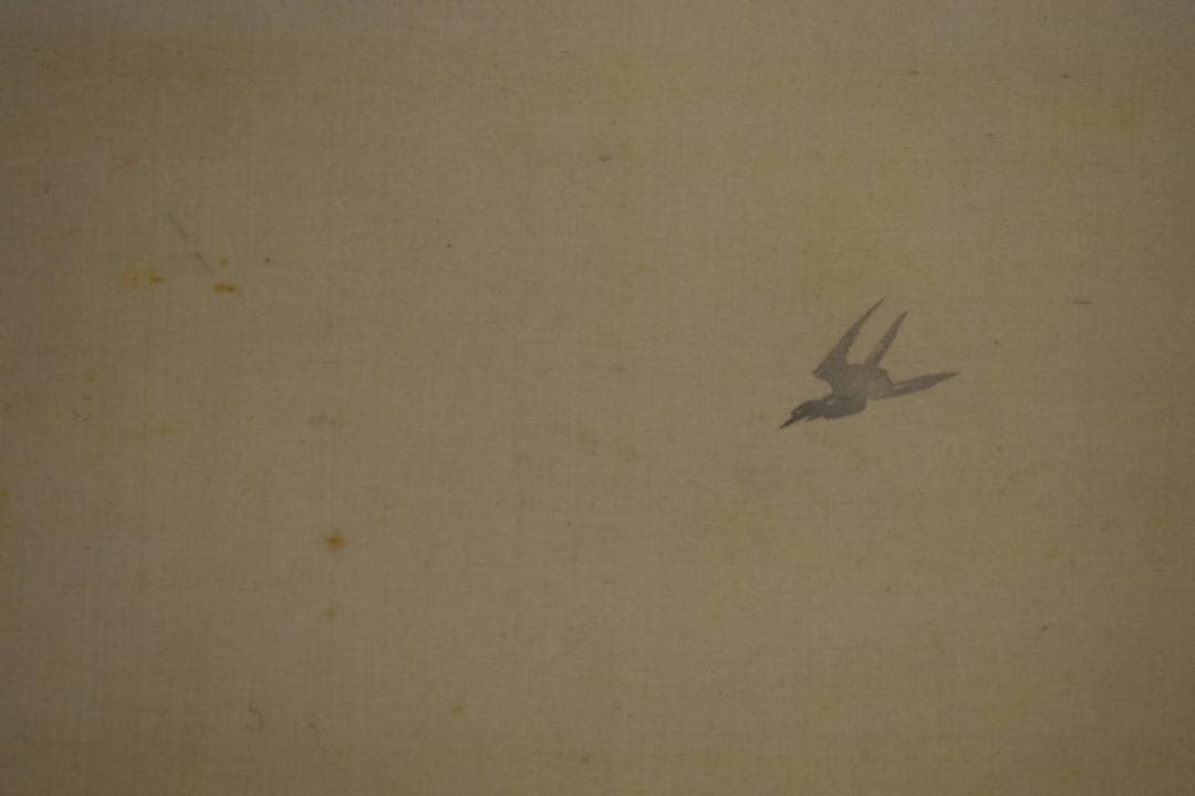 真作/今尾景年/山水民家水車図/桐箱二重箱付/布袋屋掛軸HJ-368