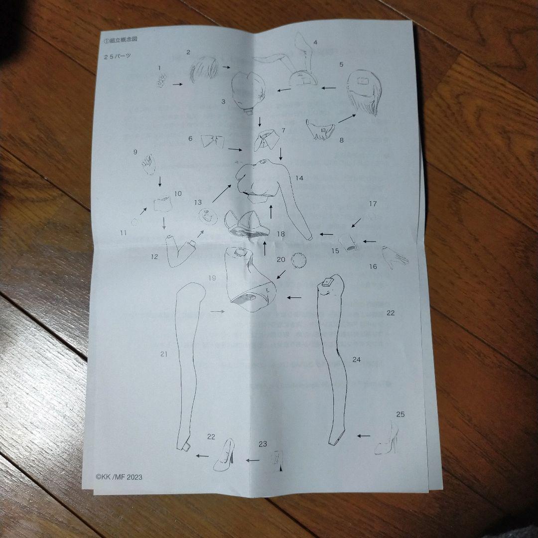 御坂美琴　水着バニーver ガレージキット　レジンキャストキット　フィギュア