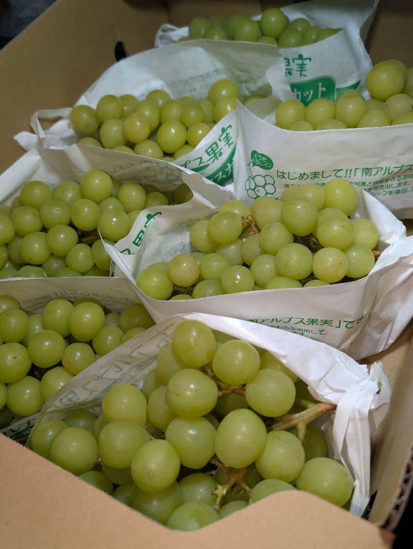山梨県産ぶどう　シャインマスカット　7房入り　箱込み約5.2kg