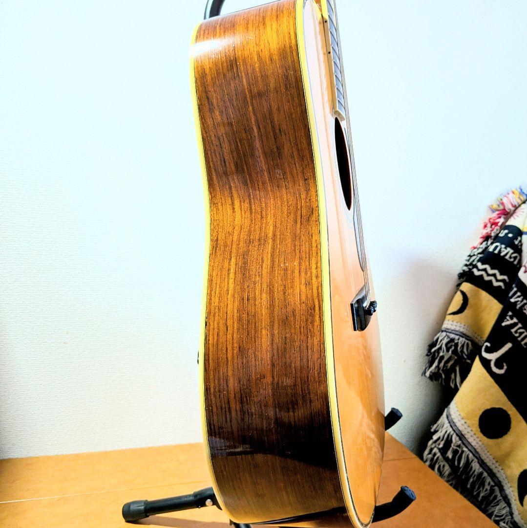 MORRIS　W-35　モーリス　ビィンテージ　トップ単板