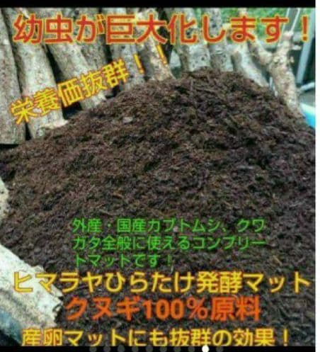送料無料！60リットル　カブトムシ幼虫の餌！巨大化！ヒマラヤひらたけ発酵マット