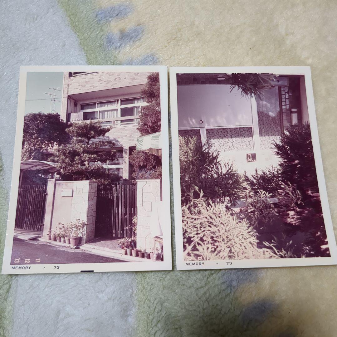 沢田研二　タイガース　生写真