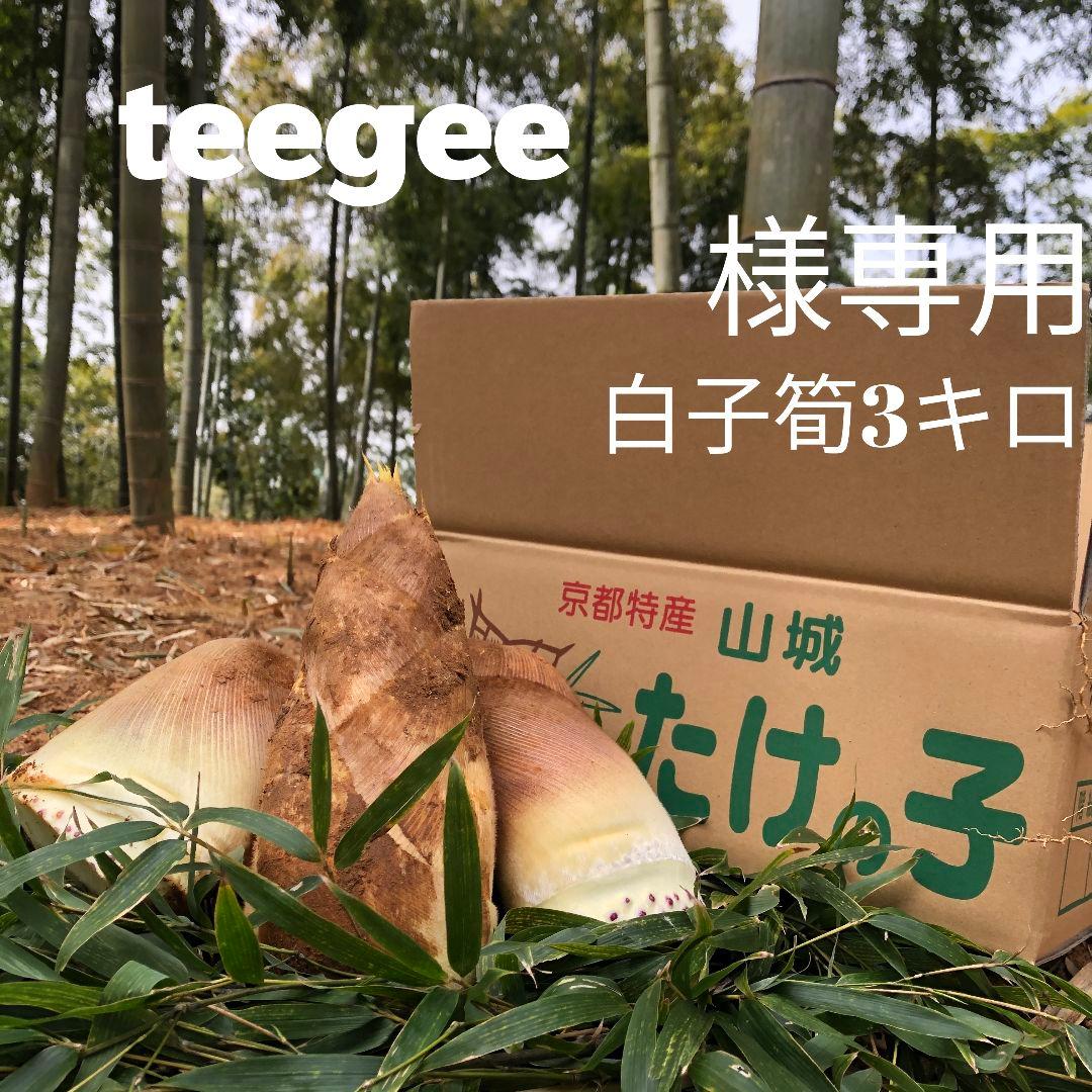 teegee　白子筍3キロ