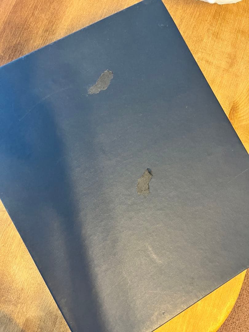 シュタイフ　steiff ラルフローレン　レイシーベア　1996年