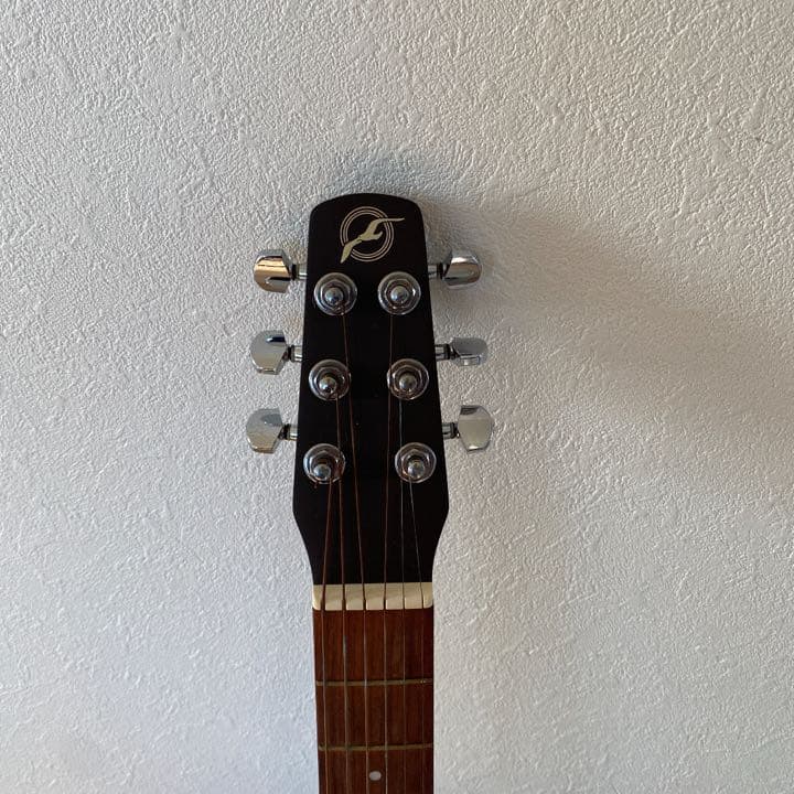 ギター seagull grand