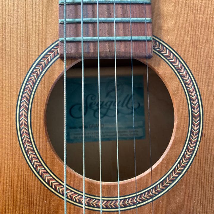 ギター seagull grand