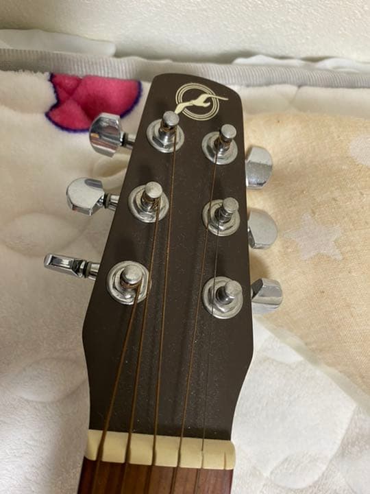 ギター seagull grand