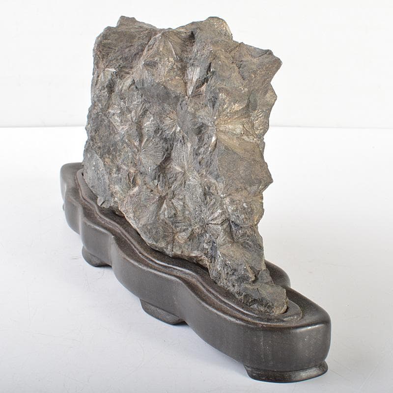 天然石　鑑賞石　菊花石　置物　重さ約1.7kg　唐木台付　V　R6819