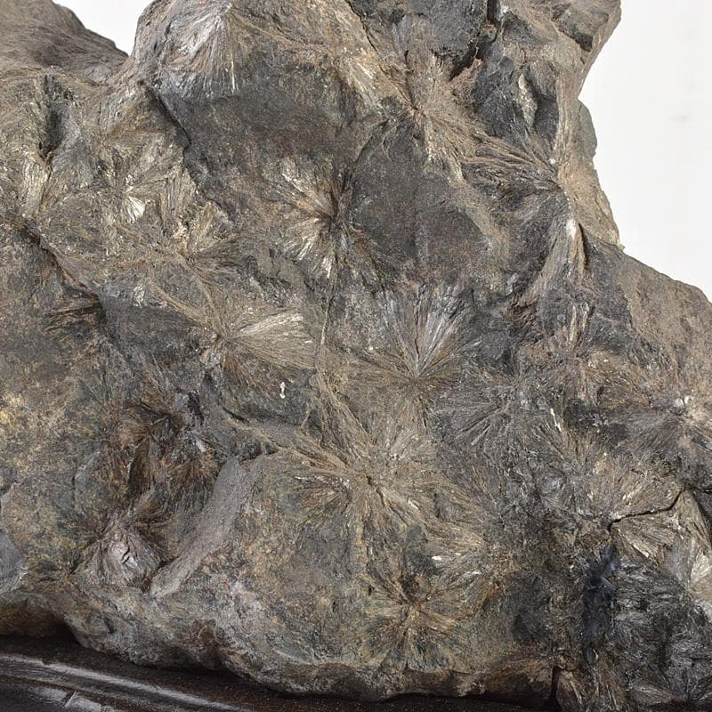 天然石　鑑賞石　菊花石　置物　重さ約1.7kg　唐木台付　V　R6819