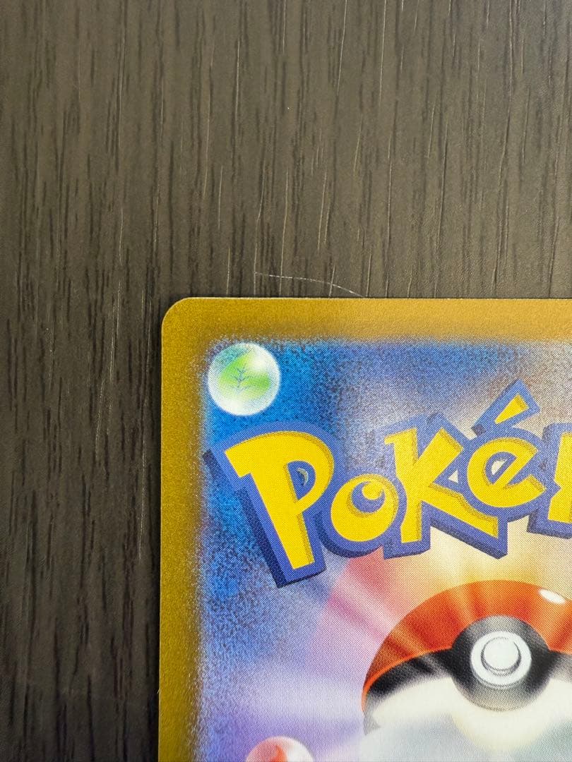 ルチアのアピール SAR