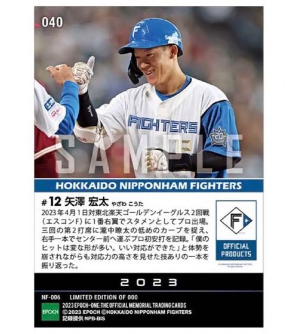 「5枚セット」RC【矢澤宏太】