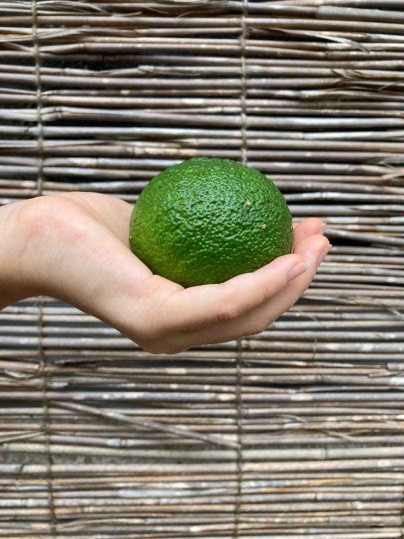 完全無農薬　青ゆず　青柚子　箱込み10kgちょっと入ります♪