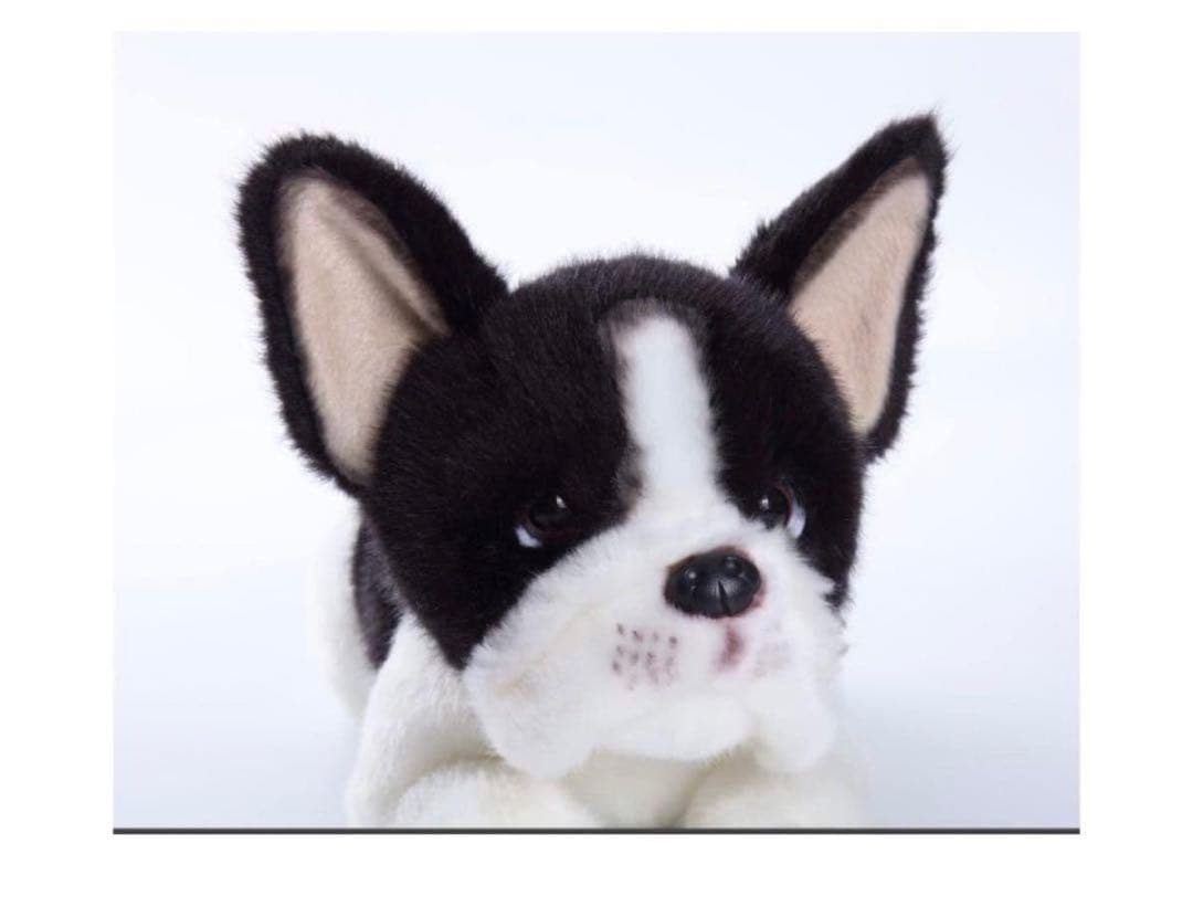 ラスト1点✨フレンチ ブルドッグ 犬 ぬいぐるみ リアル ソフト