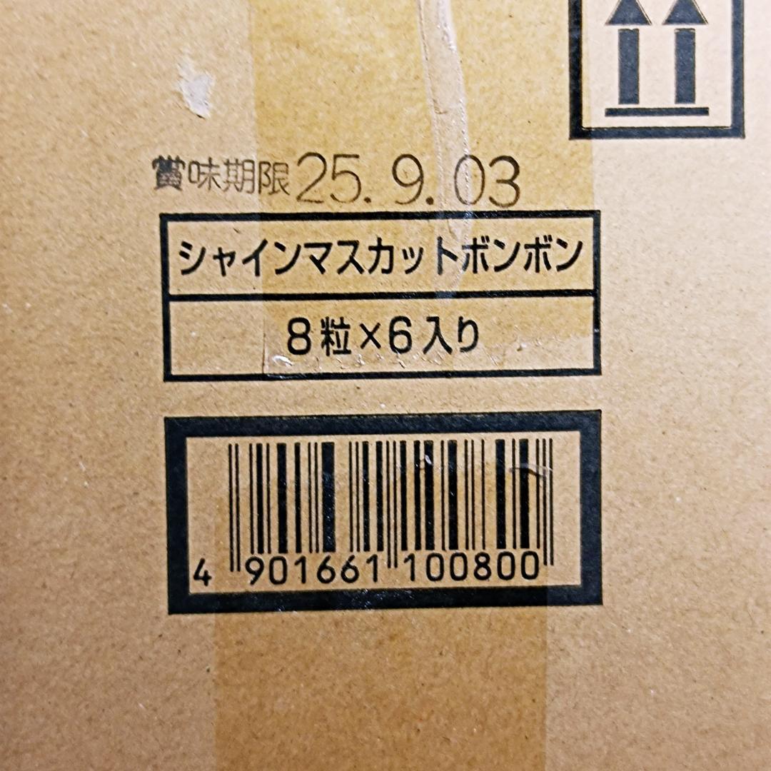 シャインマスカットボンボン　6袋セット　八雲製菓