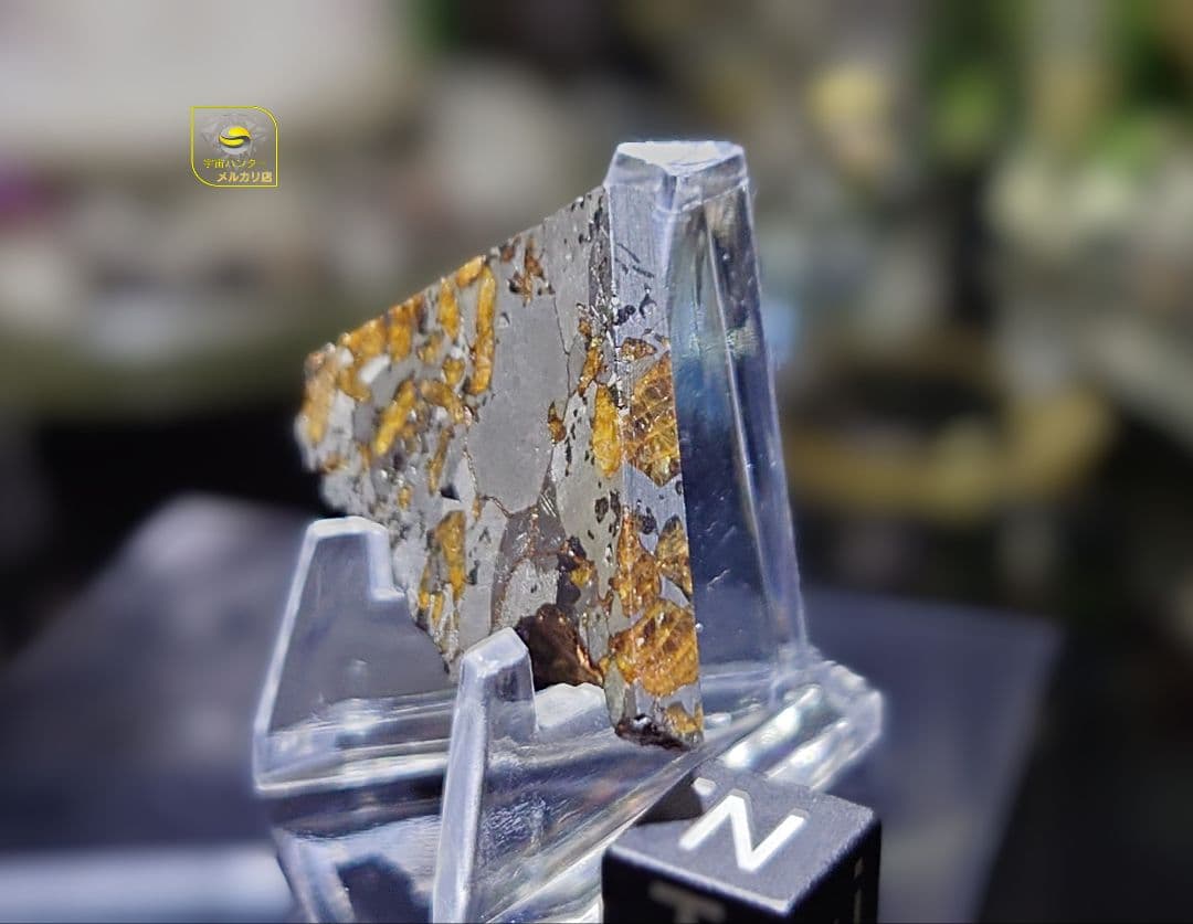 隕石 Hassi El Biod 002 パラサイト 12.23g⭐