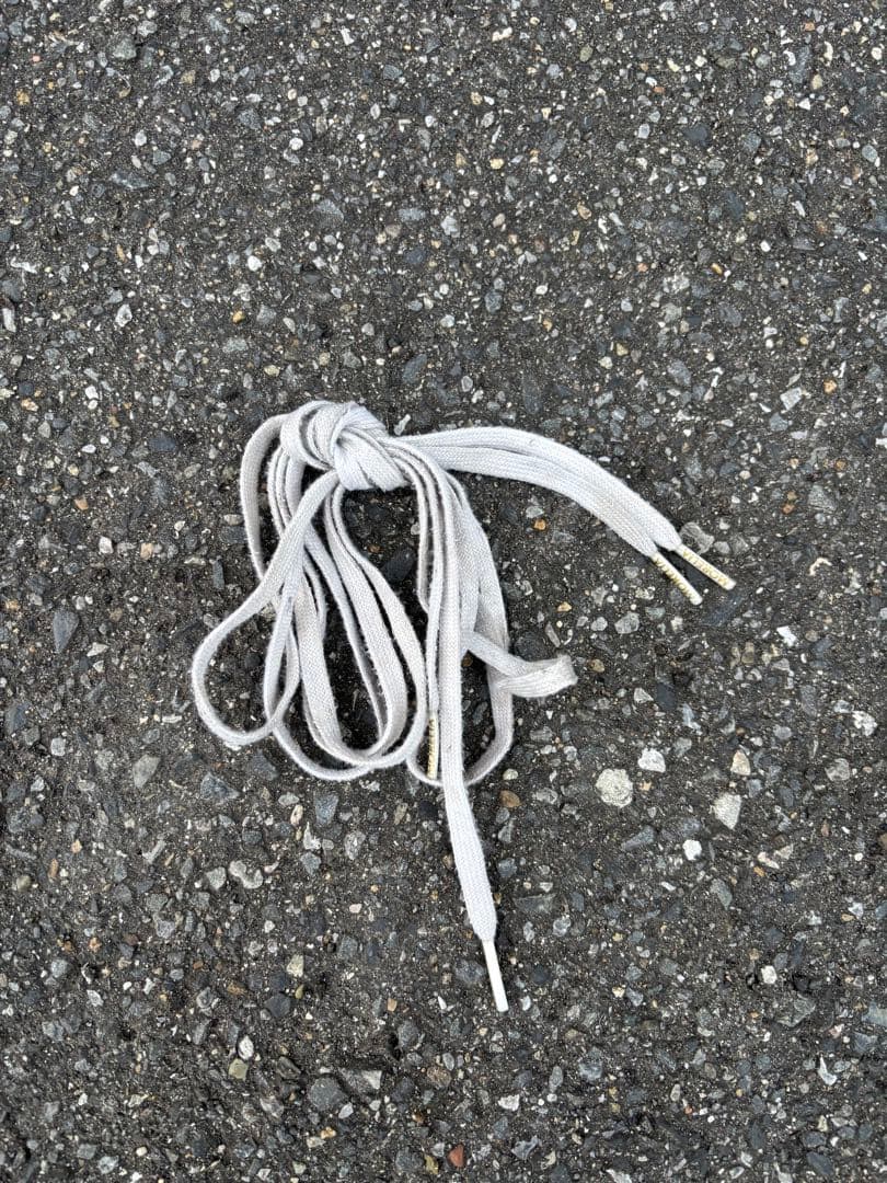 ミズノ　モレリア2JAPANクロスステッチ　25.5cm