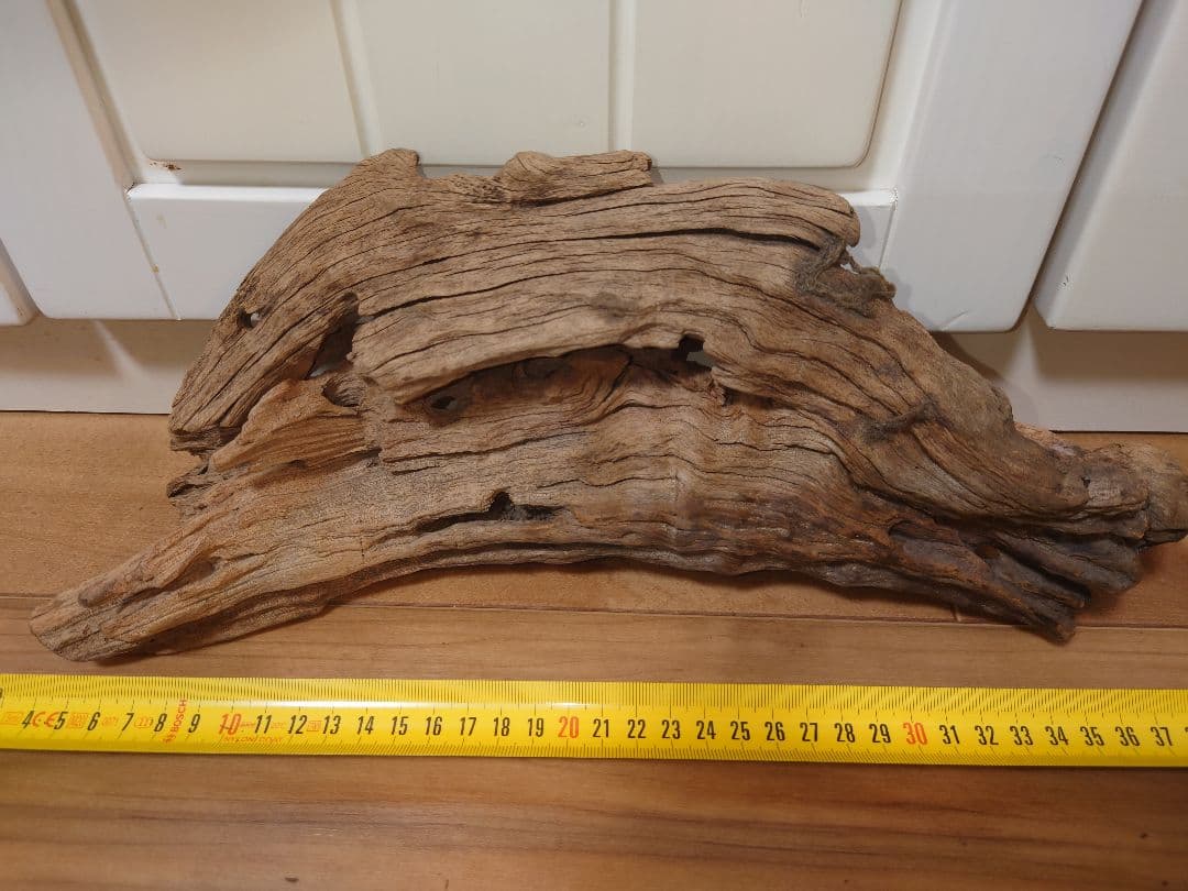 水槽用流木 自然な形状 約30cm〜50cm