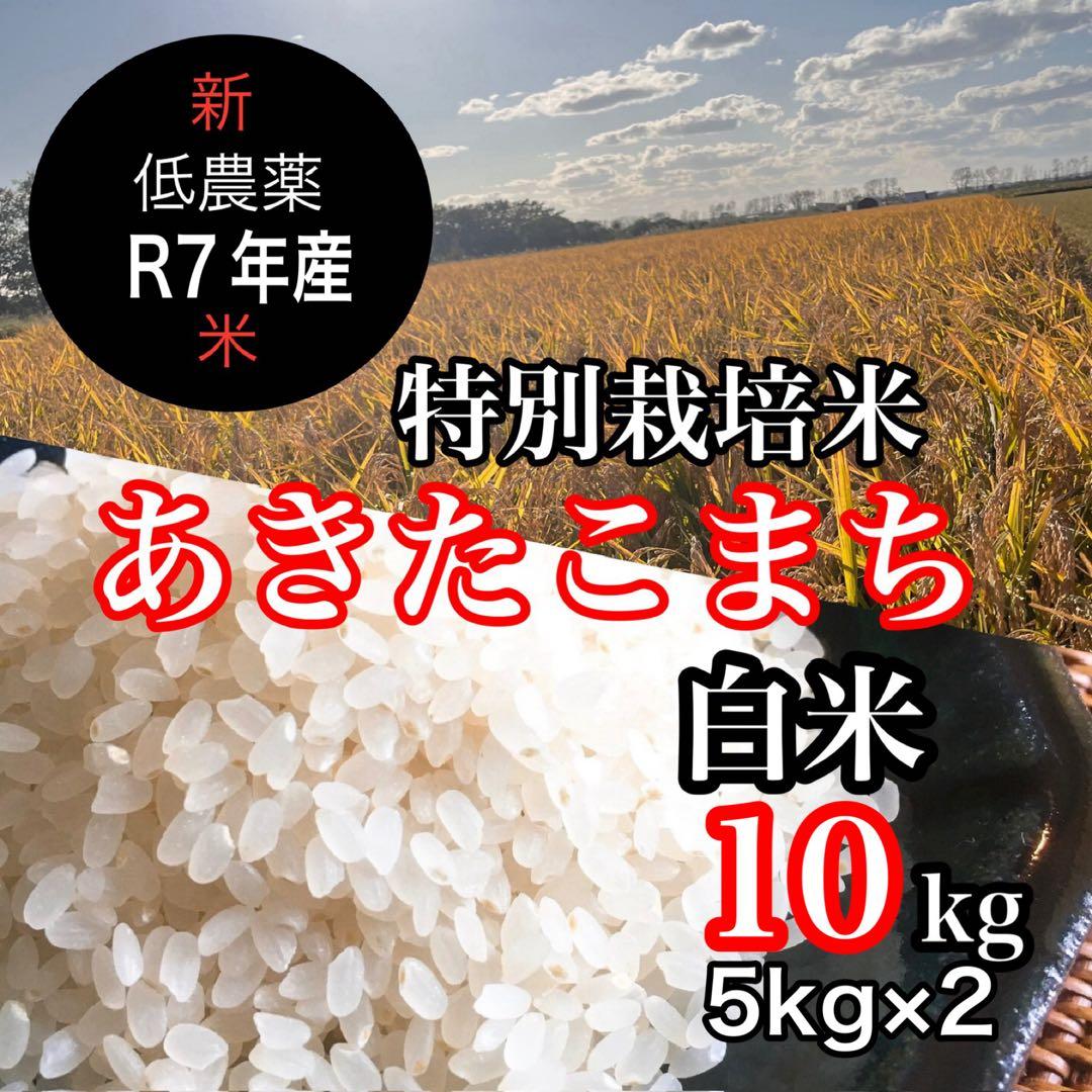 新米R7年産◎低農薬 【特別栽培米】あきたこまち 白米10kg(5kg×2)