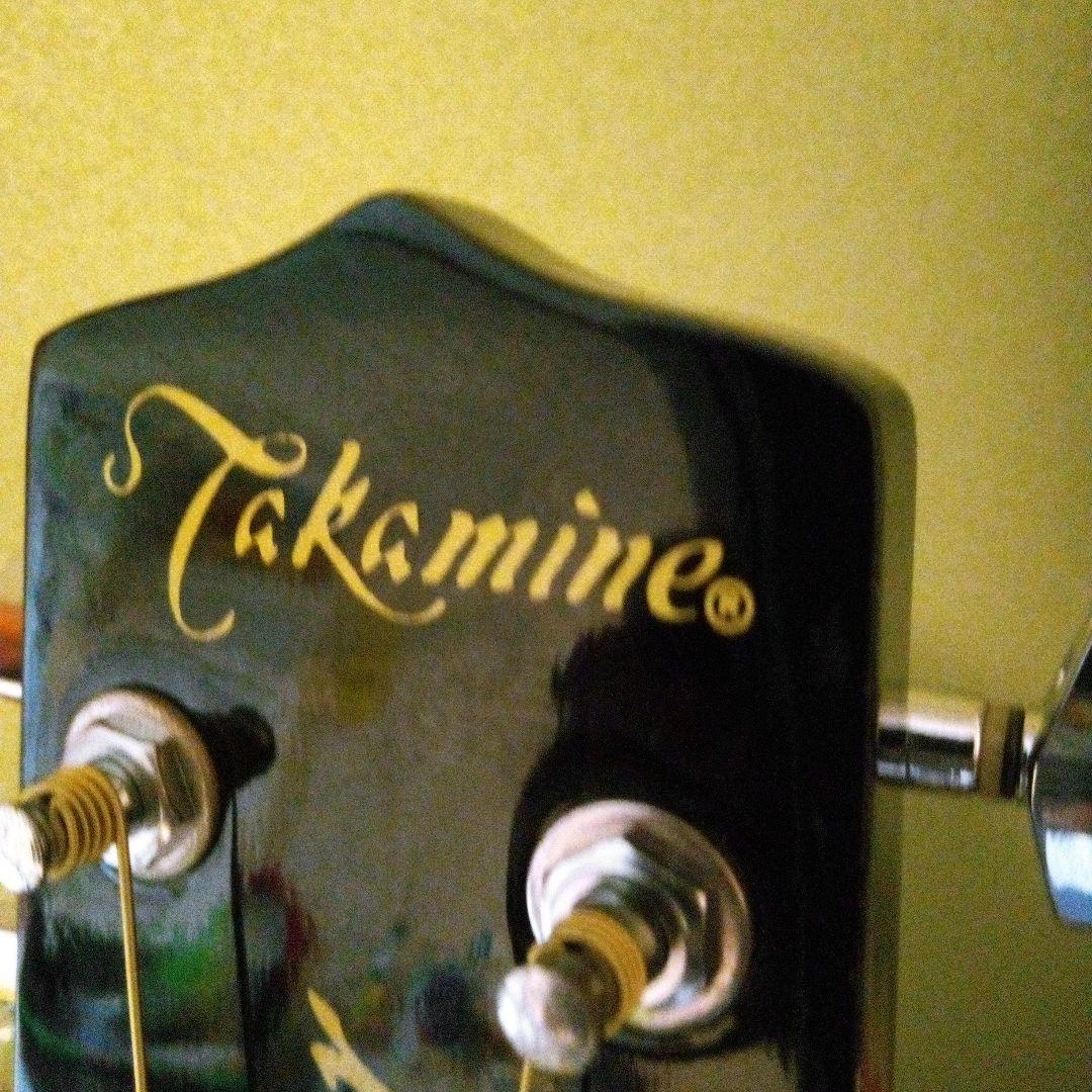 ツバメ11日迄Takamine Cooderエレアコギター大特価‼️