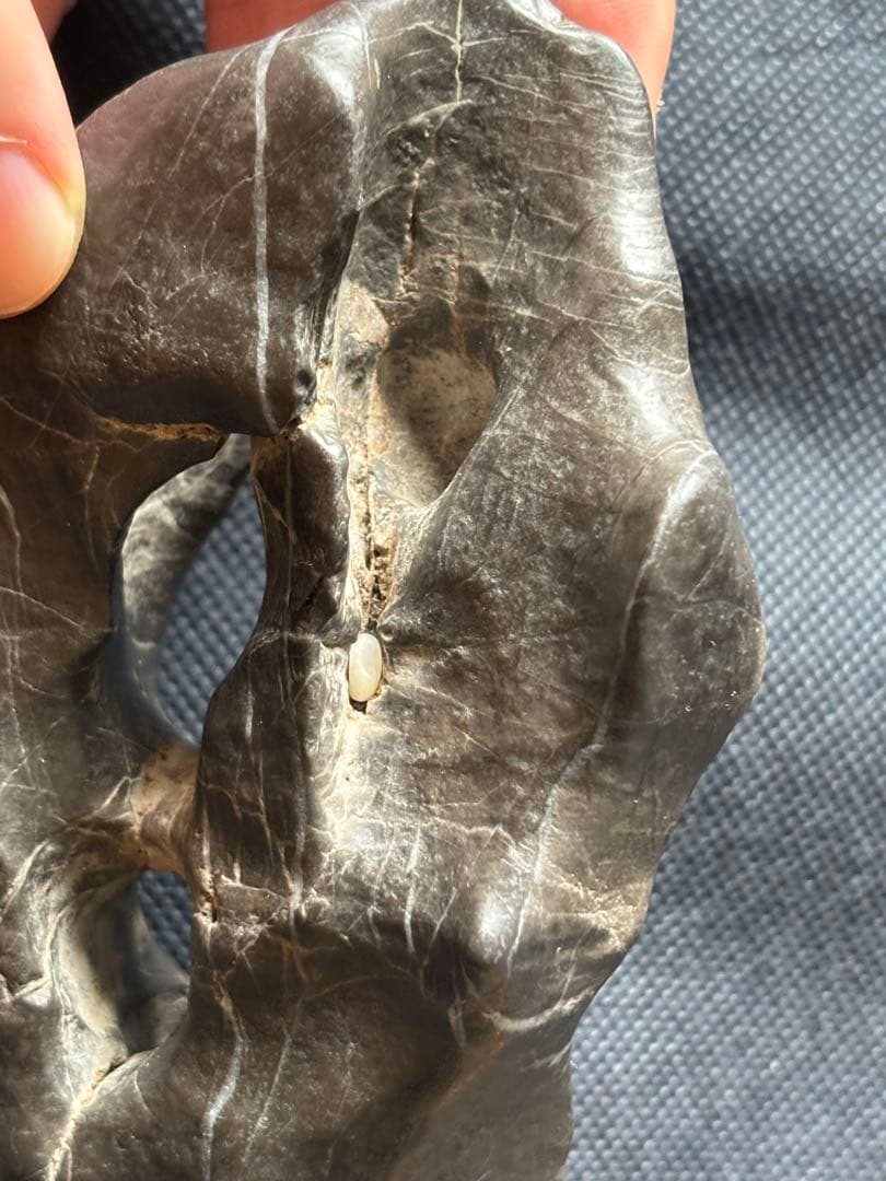 中国　天然　鑑賞　石　痩透漏　18✖︎10cm