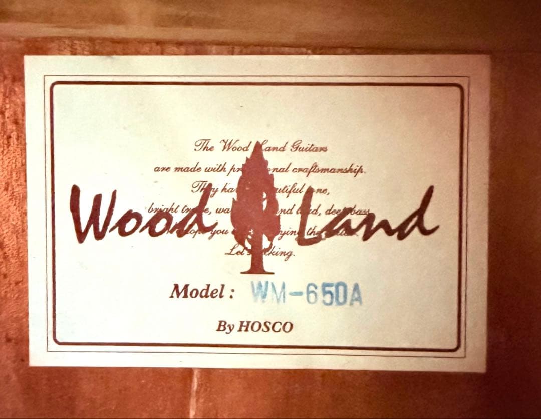 【希少】Wood Land WM-650A マカフェリギター