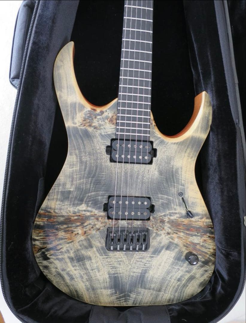 ギター MAYONES Duvell Elite 6