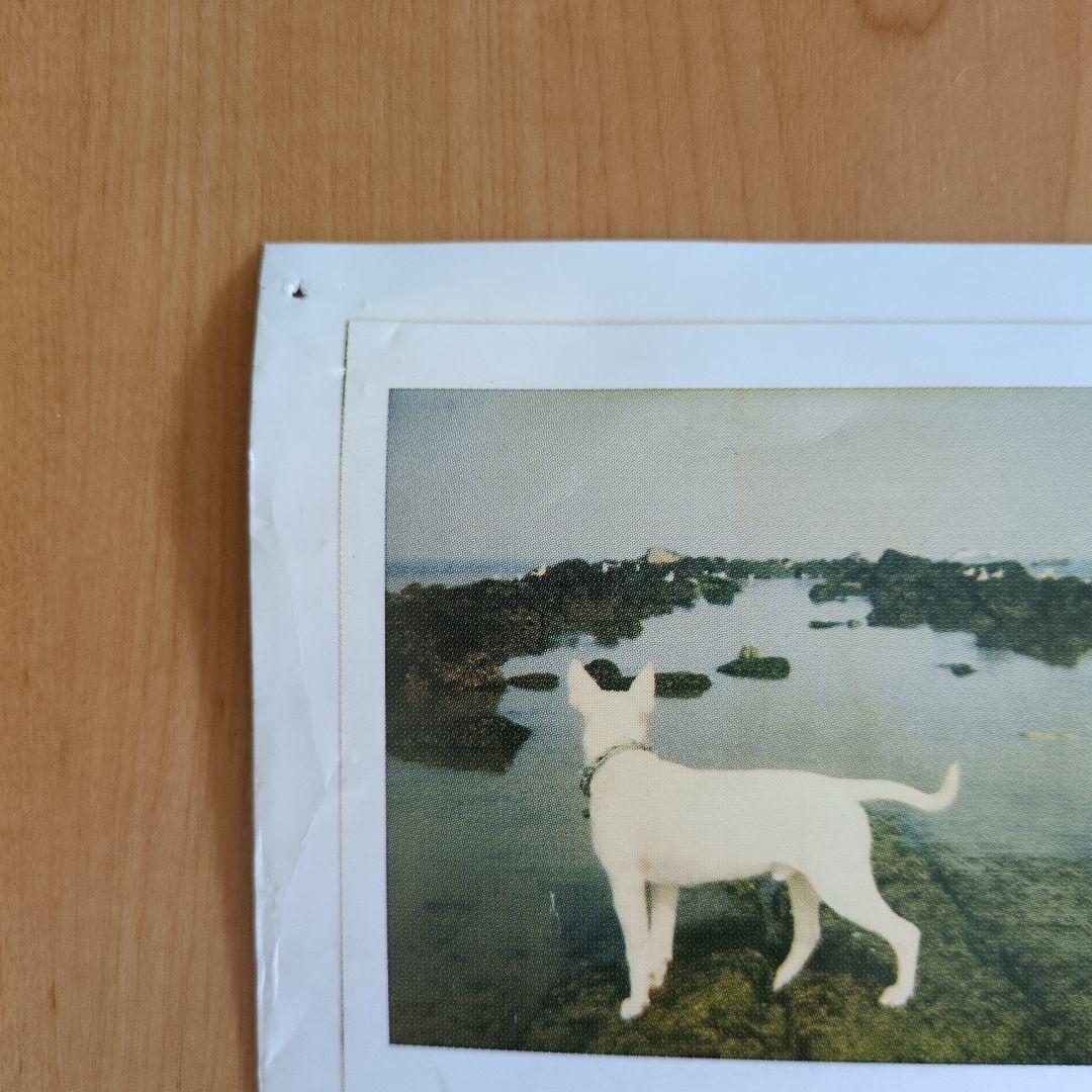 アニエスベー/ポスター