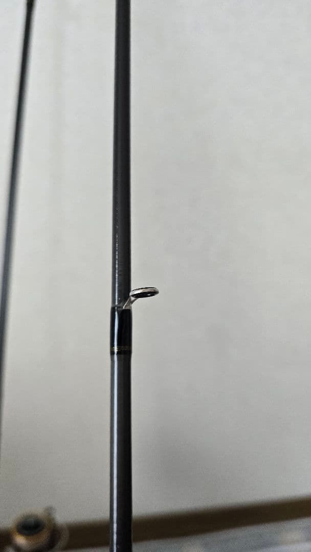 ダイワのルアーニスト86Mと18レガリスセット