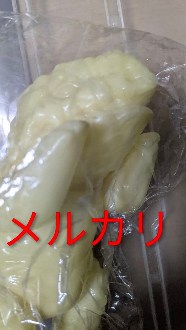 M1号 ゴルゴス ソフビ 蓄光