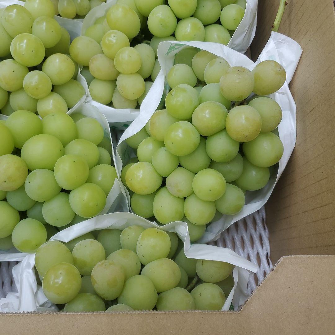 5️⃣ 山梨県産 シャインマスカット７房入り 箱込み5.6キロ