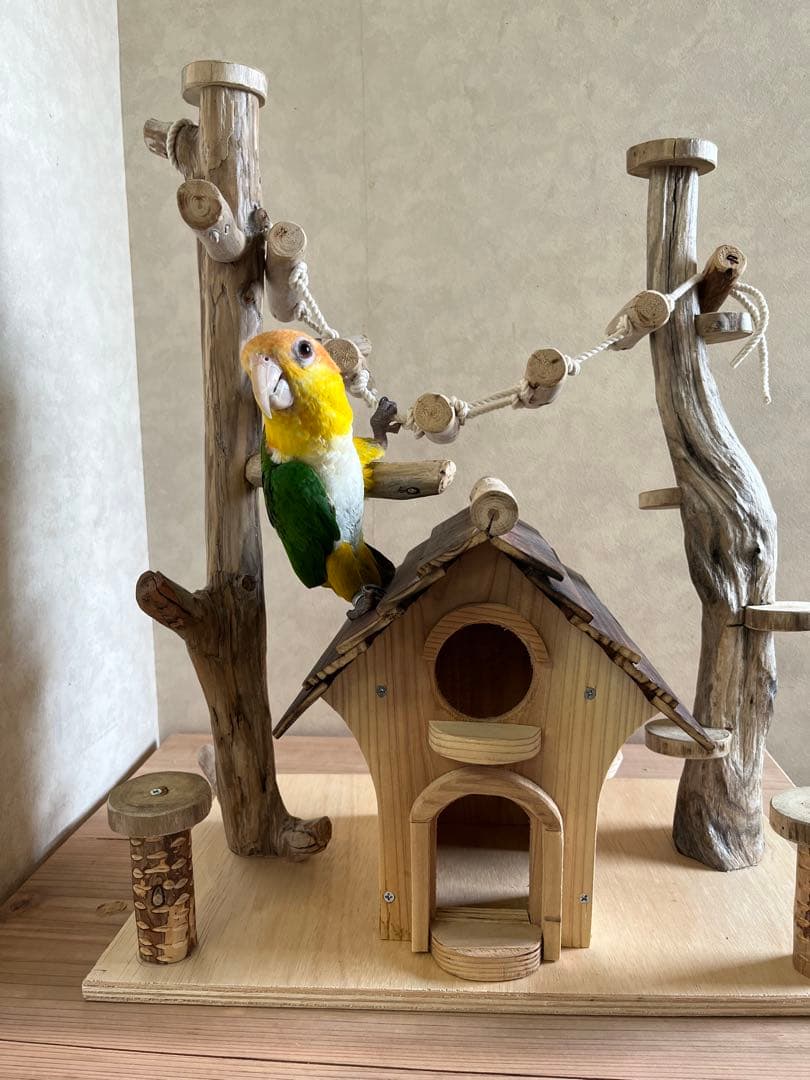 鳥インコ止まり木 流木バードアスレチック 中サイズバードジムバードトイパーチ