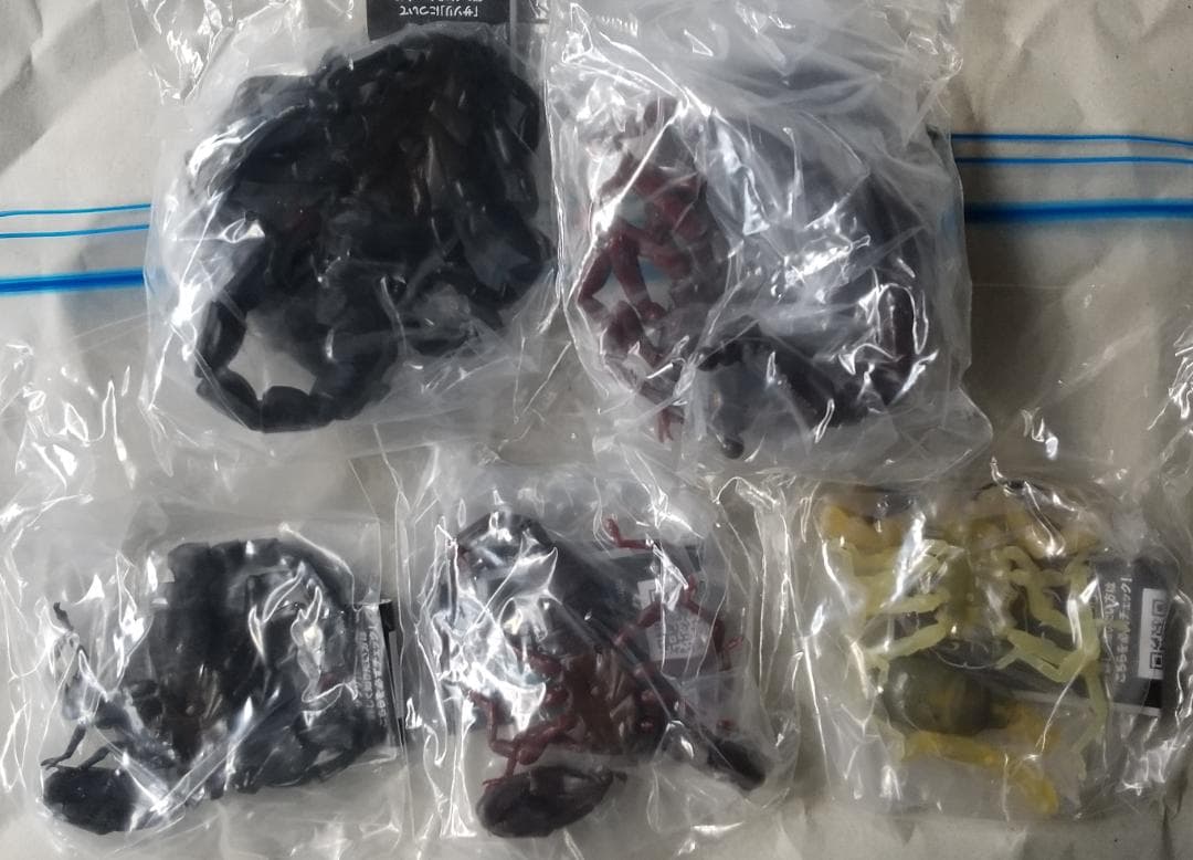 ガシャポン　いきもの大図鑑　かぶとむし くわがた かまきり サソリ　セット