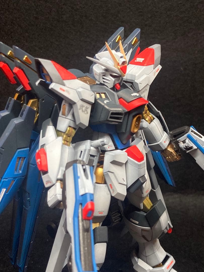 HG ストライクフリーダム弍式　塗装済　完成品