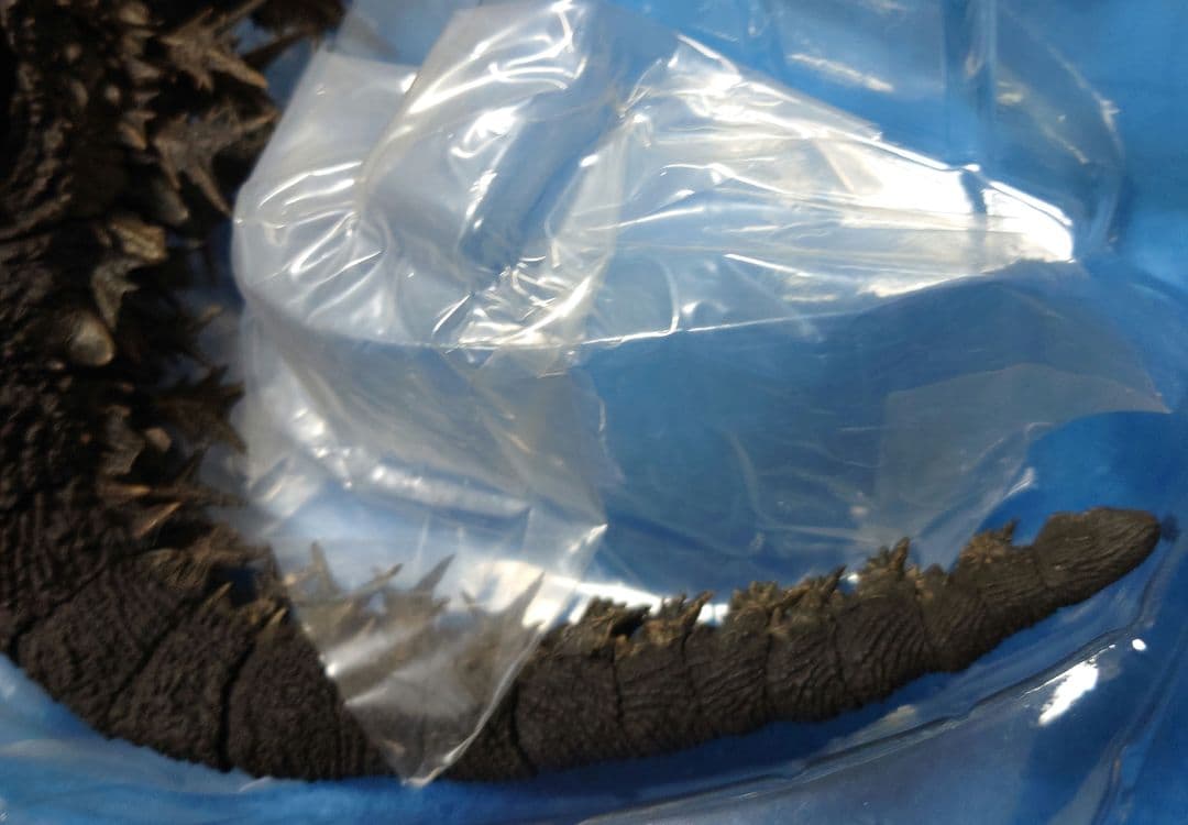 [中古]GODZILLA (ゴジラ) フィギュア 2023 ゴジラ-1.0