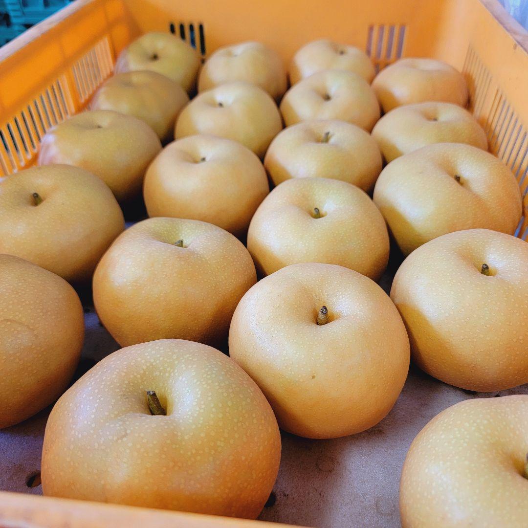 南水 良い子 10キロストックどうぞ