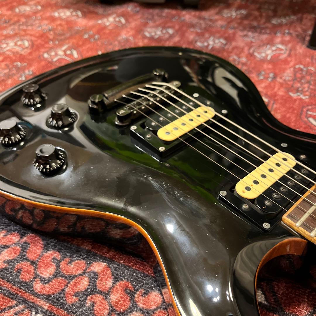 Fujigen Expert FL レスポール