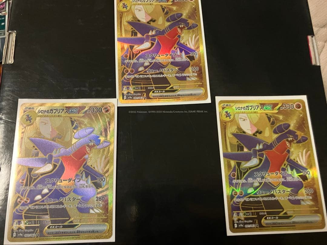 シロナのガブリアス　ハイレアセット