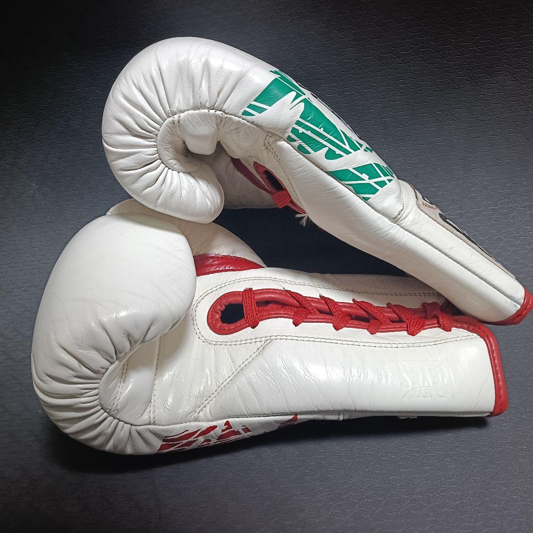 Reyes /レイジェス ボクシンググローブ 8oz セーフテックモデル