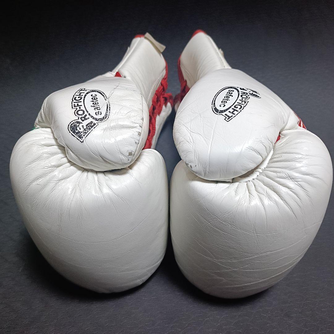 Reyes /レイジェス ボクシンググローブ 8oz セーフテックモデル
