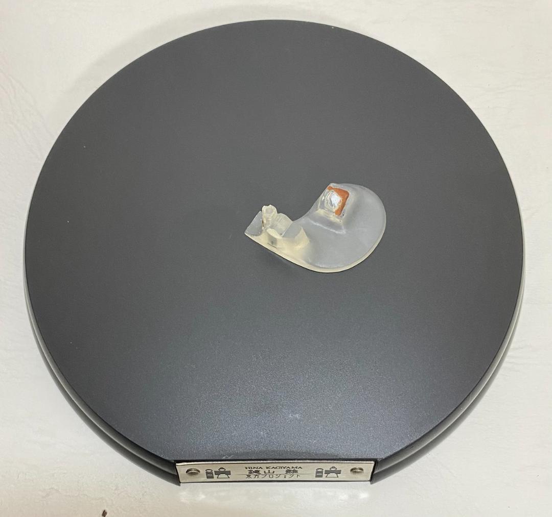 鍵山ひな　東方Project　グリフォンエンタープライズ