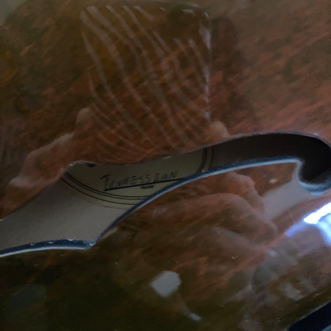 ギター Gibson Chet Atkins Tennessean