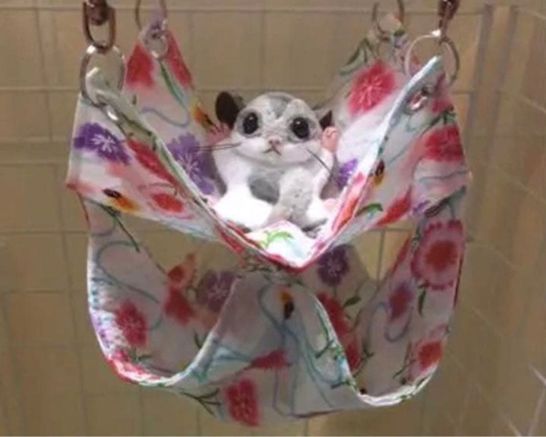 袋モモンガ用ハンモック（冬仕様・ボア）「見本用」