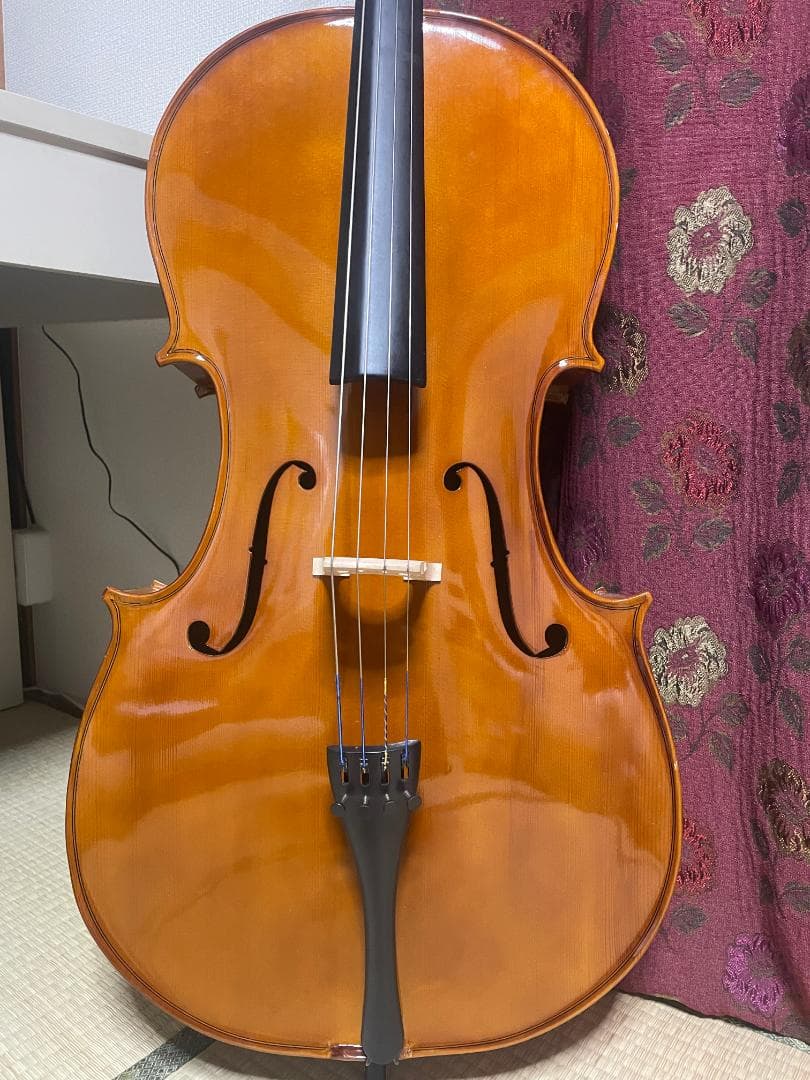 STAGG フルサイズ ハンドメイド チェロ 弓付き (ケースなし)