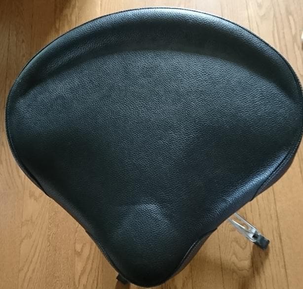 Sonata Arctica(ソナタアークティカ) 本人私物＆サイン