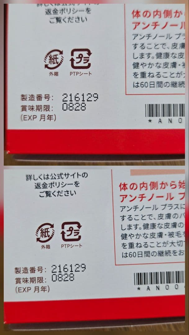 アンチノールプラス　スキンサポート　150粒