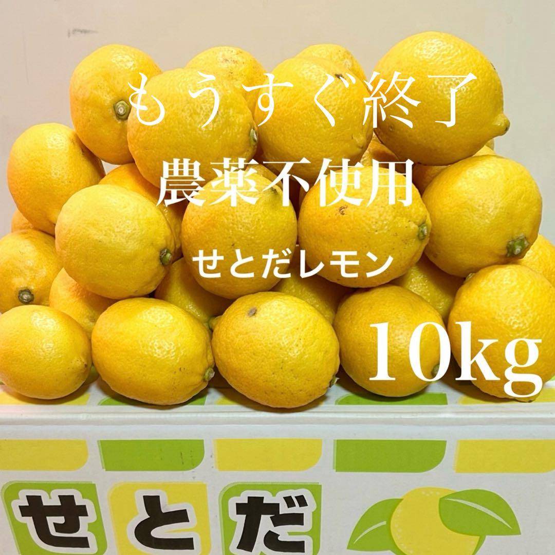 1国産瀬戸田レモン10kg前後