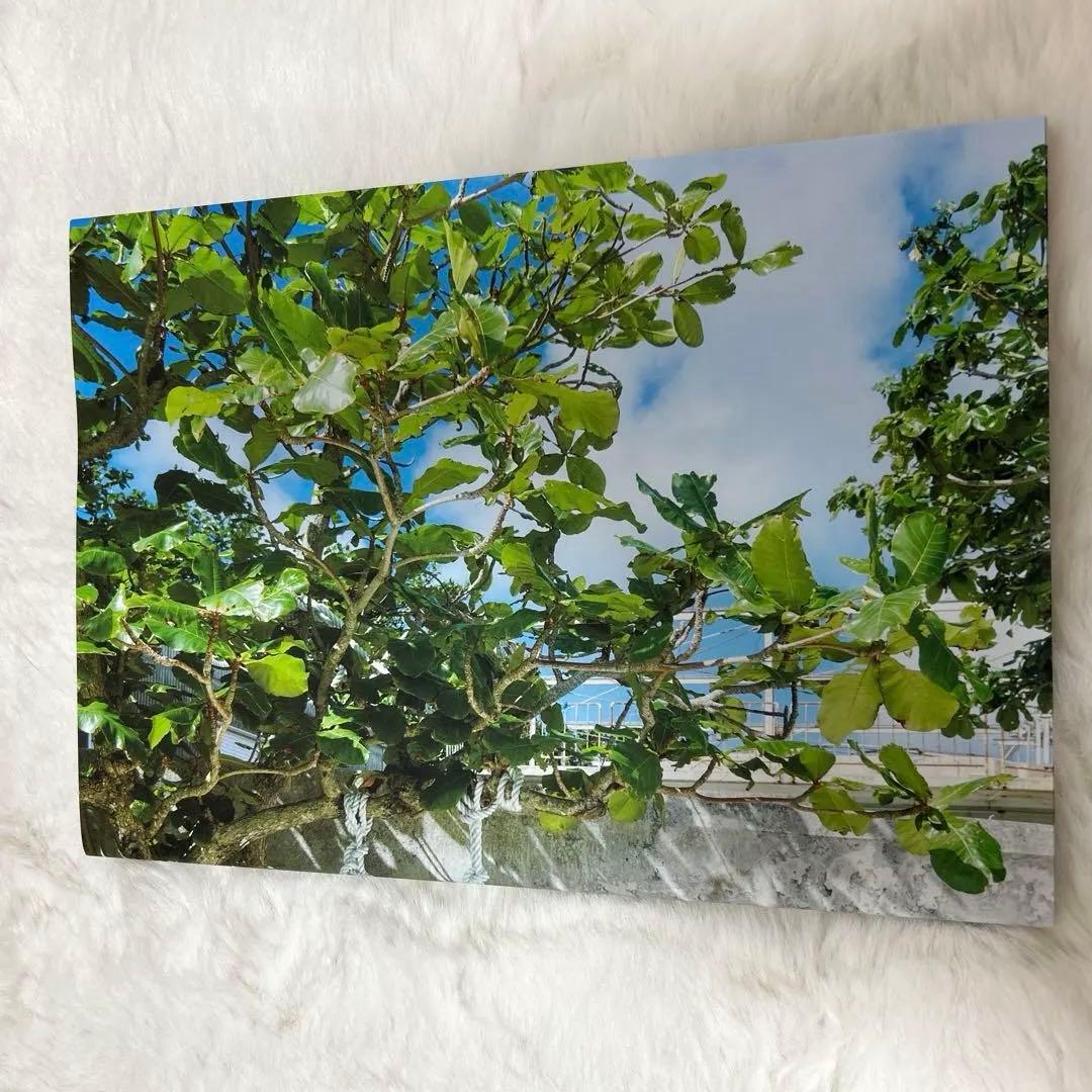 CRふらんしすこ 「戸惑い」 写真集直筆サイン入り