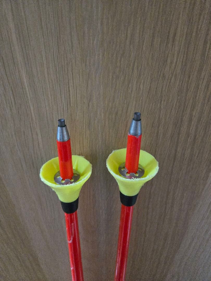 LEKI GS スキー ストック 123cm程度